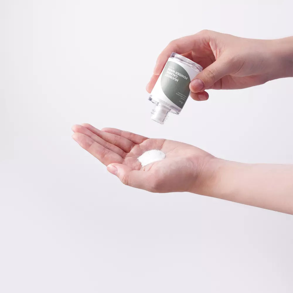 Isntree - Polvere detergente calmante all'artemisia - Detergente viso - 15 g